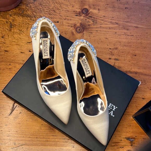 Badgley Mischka Gorgeous Wedding Shoes - Picture 7 of 17
